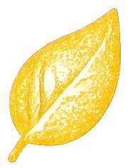 Leave