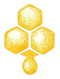 hny comb logo