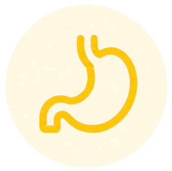 gut