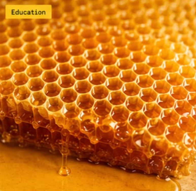 honey comb